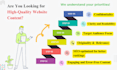 write professional website content