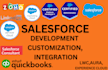 do salesforce development, customization, integration