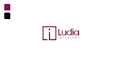 create a  stunning customized logo animation for you