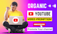 do youtube video SEO and promotion to grow your channel