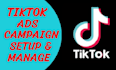 do your tiktok ads campaing manager