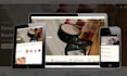 build and redesign a professional shopify dropshipping store