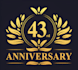 design a professional modern anniversary logo