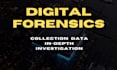 perform digital forensic, background check, private investigator, osint