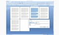 do  urdu typing,  and data entry typing work in ms word professionally