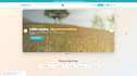 provide custom software solutions for you