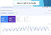do search engine marketing, on page, off page, technical SEO