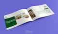 company profile design in arabic