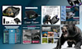design amazon listing picture and infographics for you