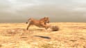 do cgi 3d animal modelling, 3d animal creature animation compositing for film