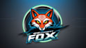 do custom fox mask esport mascot logo