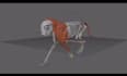 rig your 3d character professionally in blender and maya