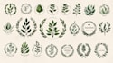 design minimalist line art botanical boho logo