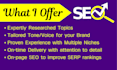 write SEO optimized web content and blog posts
