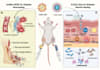design scientific figures and infographics for your research