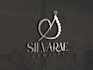 logo and branding package in 24hr