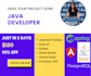 develop CRM solutions angular spring or django