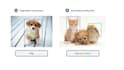 computer vision facial detection camera api yolo image processing deep learning