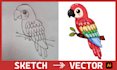 convert any image sketch or logo to vector