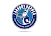 design high quality laundry logo with free source file