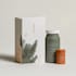 make design a modern packaging