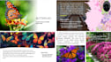 design and create amazing presentation
