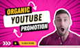do organic youtube promotion and increase views, subscribers with google ads