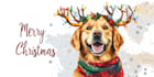 make a christmas card, new year card and holiday card