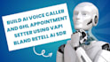 build ai agentic chatbots, deepseek r1 crm ai voice interactive app, ai avatar
