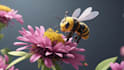 create ai images and ai arts based on your imagination
