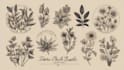 create beautiful hand drawn botanical boho logo