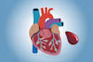 do medical and scientific illustrations