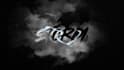 do expert 2d logo animation for intro, professional animated motion graphics