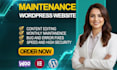 do wordpress maintenance and monthly backups, support
