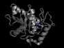 do anything in pymol software high quality images, videos, etc