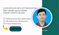 do conversion rate optimization with experienced cro