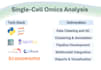 analyze single cell rna seq and spatial transcriptomics data