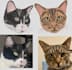 do embroidery digitizing into dst, pes, jef emb files in 1 hr
