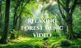 create unique fantasy relaxing meditation, sleep music video