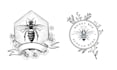 create hand drawn bee logo