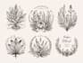 create hand drawn botanical boho logo designs