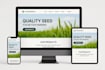 do professional wordpress website development with expertise