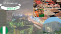assist with any errands in nigeria