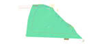 do survey design and survey data processing survey cad