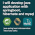 develop java application with springboot,hibernate and mysql