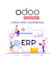 be best suitable for odoo implementations and integrations tasks