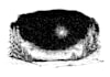 render an ai generated illustration