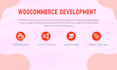add custom features and optimize your woocommerce store professionally