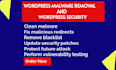 do wordpress malware removal, recover hacked website and secure your site