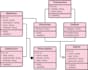 write sql queries , uml diagrams and database projects